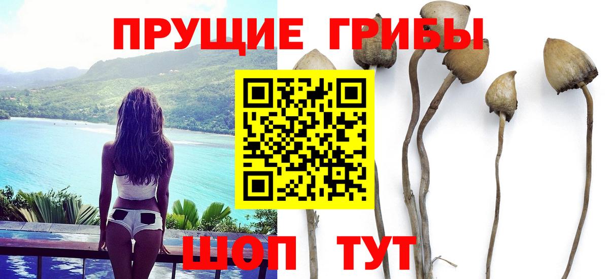 Воскресенск  Псилоцибиновые грибы мухоморы  Вход с VPN  Псилоцибиновые грибы GOLDEN TEACHER 